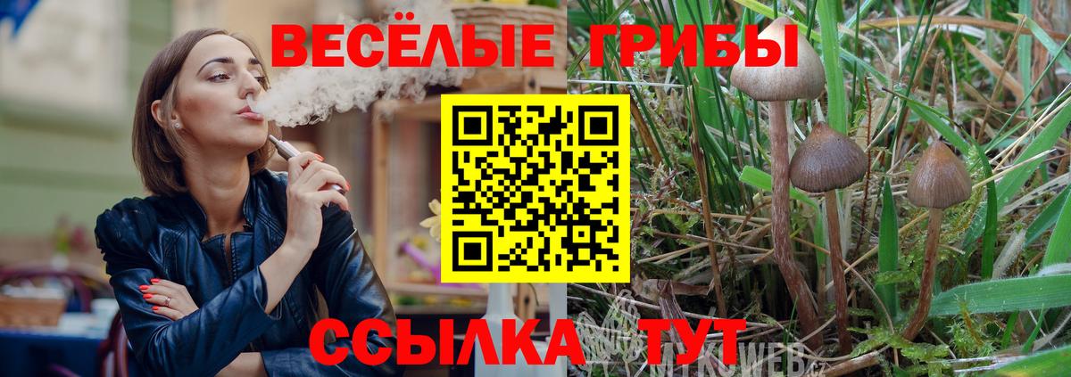 Галлюциногенные грибы Psilocybe  Галлюциногенные грибы мухоморы  Вход с VPN  Абакан 