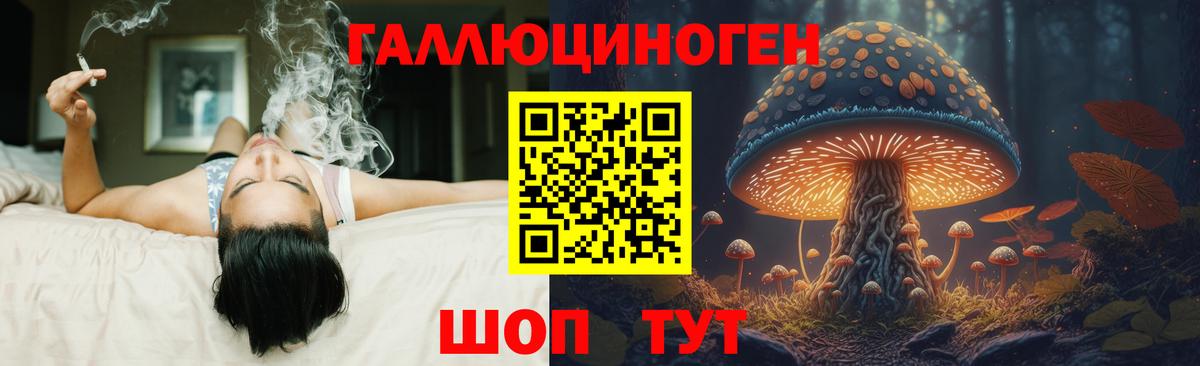 Галлюциногенные грибы Magic Shrooms Абакан
